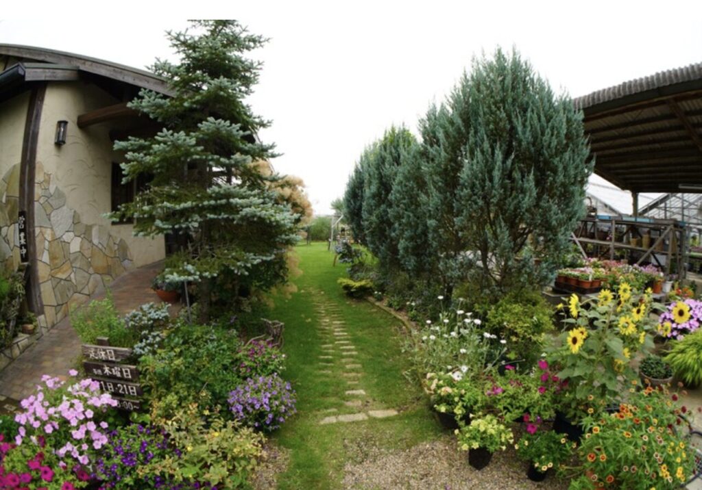 森庵の屋外