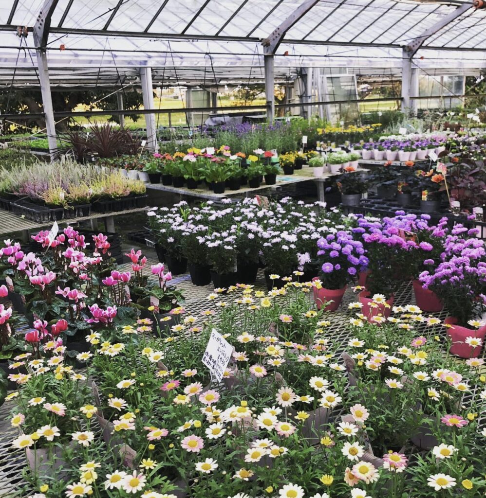 もりあん 花の店